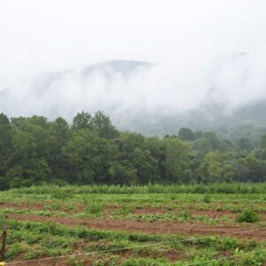 bilinmeyen cisim tarlaya dusup patladi IqJhnk3e