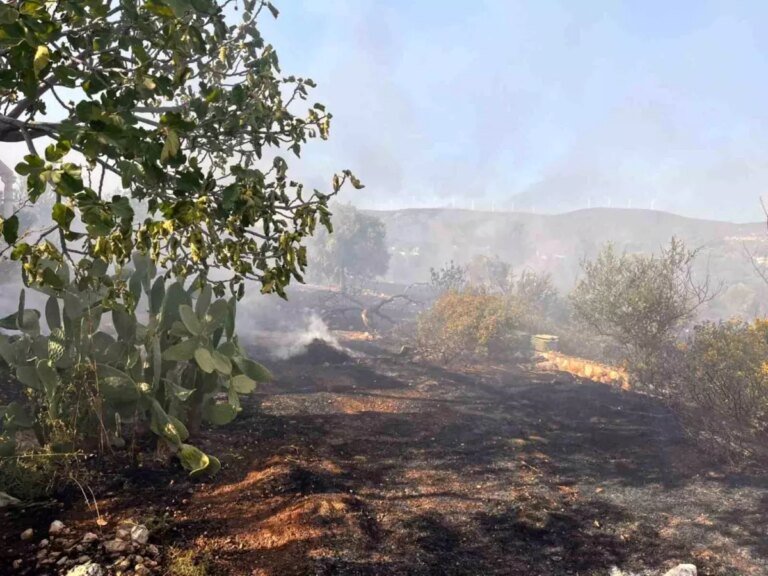 didimde cikan yangin kontrol altina alindi hyaisVhf