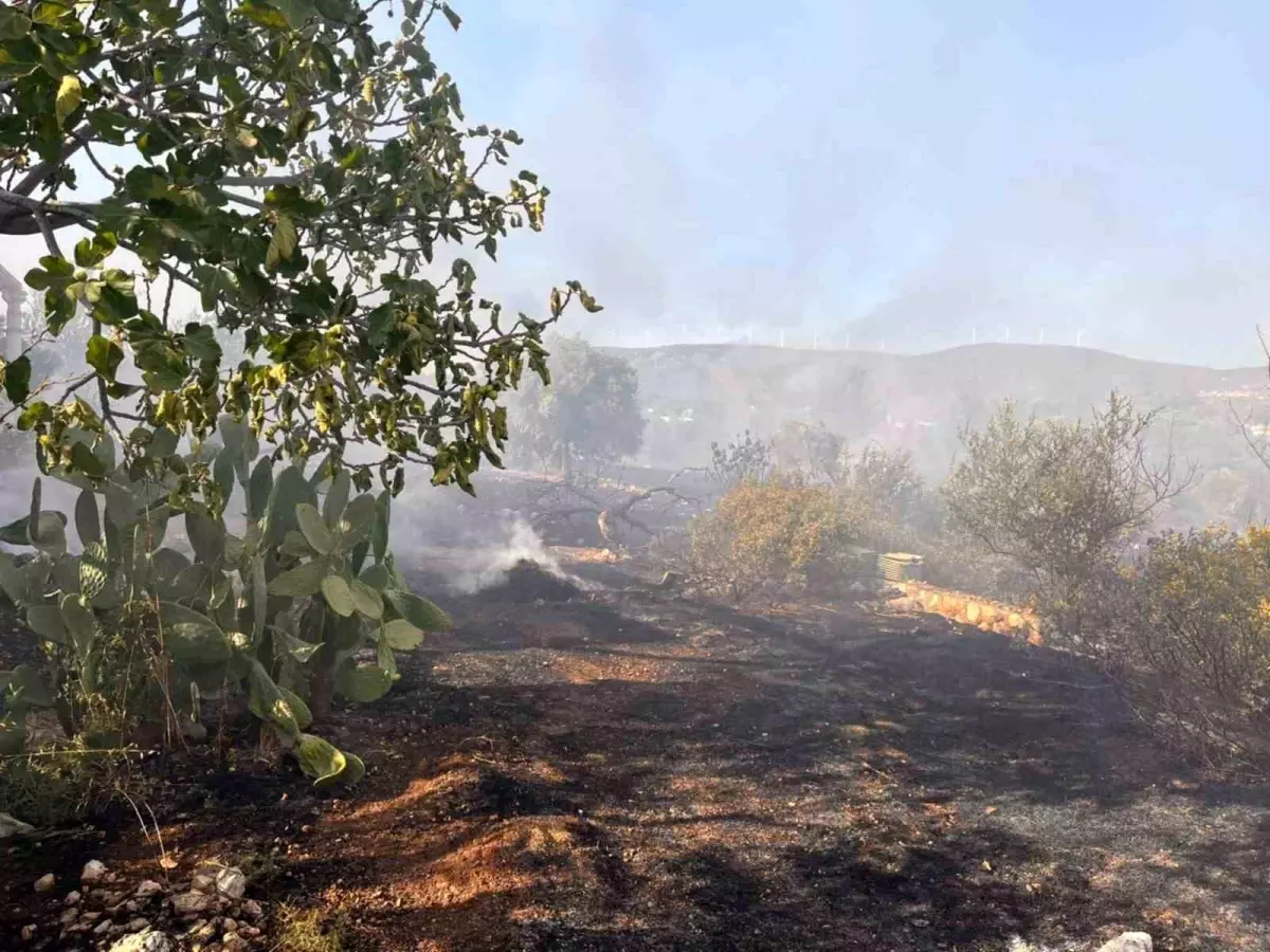 didimde cikan yangin kontrol altina alindi hyaisVhf