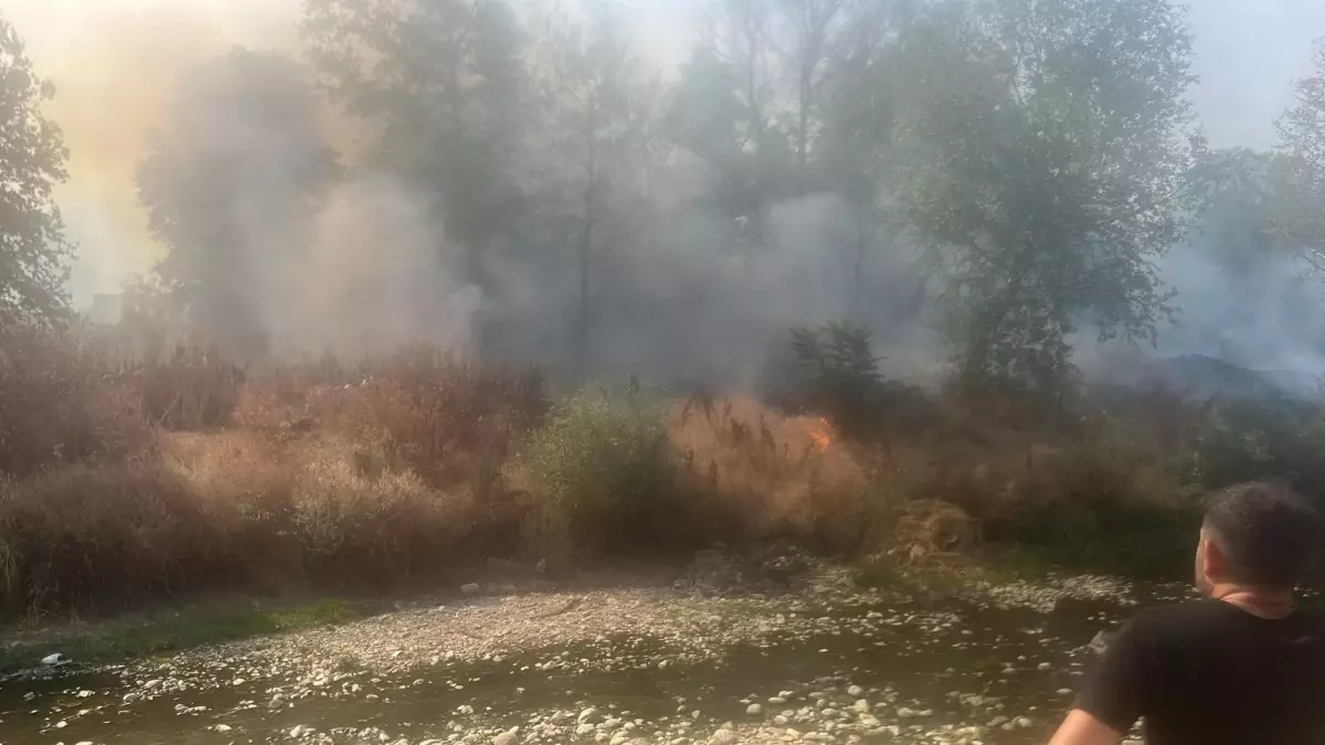 inegolde ot yangini kontrol altina alindi E2A4jPtY