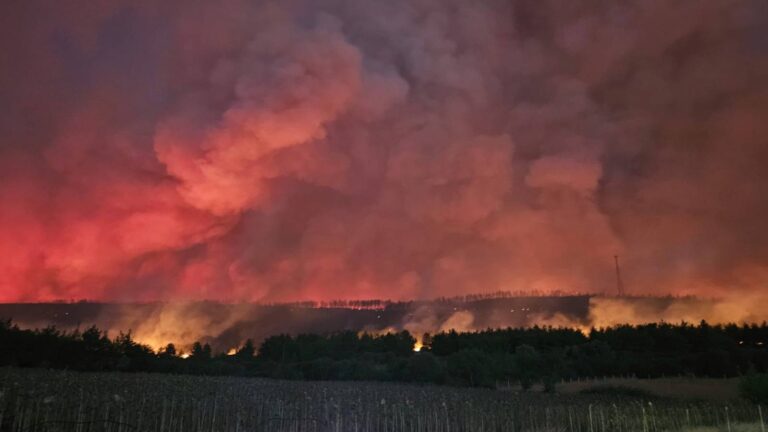 iyi partili ridvan uzdan canakkale yanginina iliskin aciklama evlerimiz ormanlarimiz bereketli topraklarimiz tehdit altinda wrtfW5vp