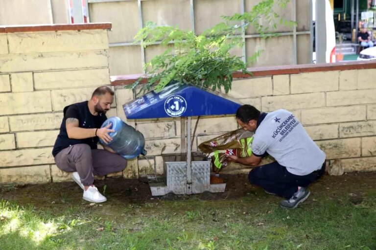 kucukcekmece belediyesi sokak hayvanlarini sicaklardan koruyor 5MfgO1A8