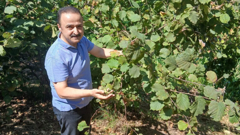 mhpli sanliturkten kritik uyari rekolte dusuyor fiyat yukseliyor rE2tZlW6