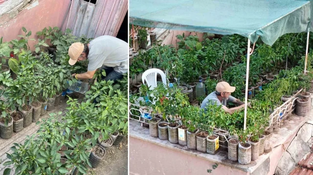 18 metrekarelik terasini 200 fideyle bahceye cevirdi 8 saatini burada harciyor ar6besFP