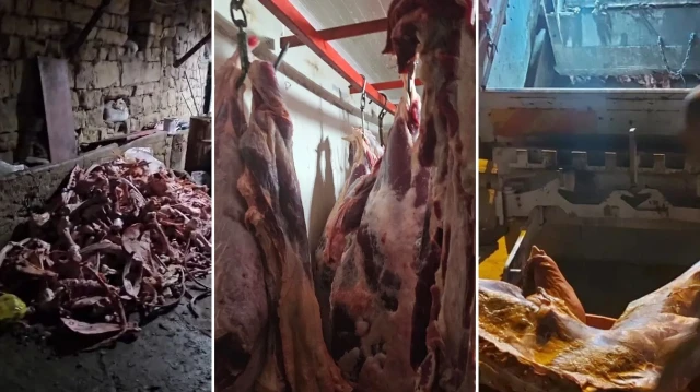 bir ilimiz bu goruntuleri konusuyor ahirdaki soguk hava deposunda bulundu vatandasa yedireceklerdi Ow1jvfyB