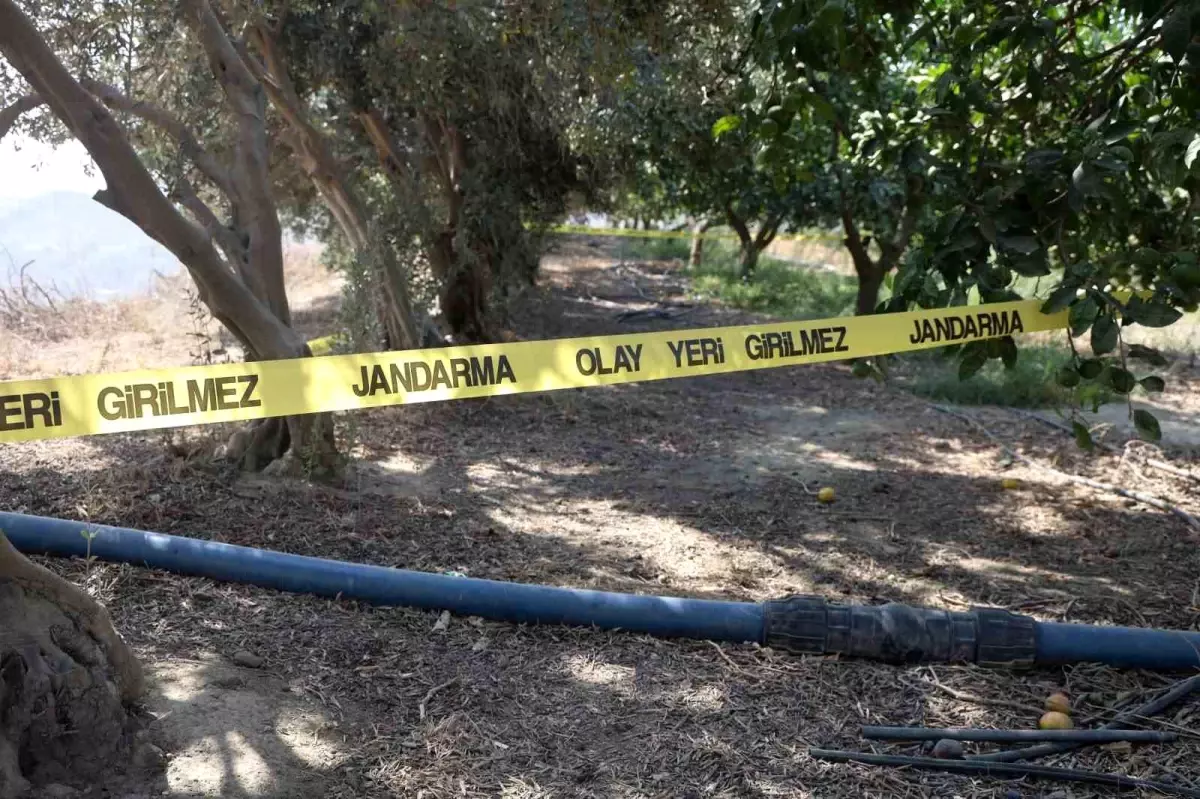 hatayda katil pamuk ile yakalandi xsb9ZtPp