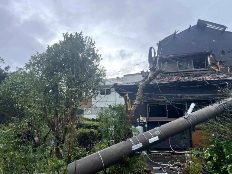 peipah tayfunu japonyayi vurdu XXHjBNx2