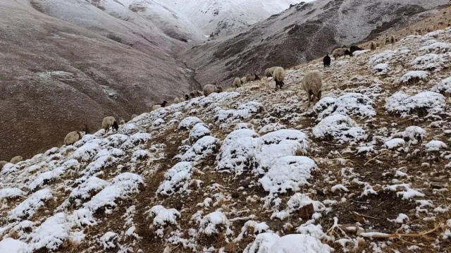 vanin yukseklerine kar yagdi hazirliksiz yakalanan cobanlar zor anlar yasadi iIAY9BJb