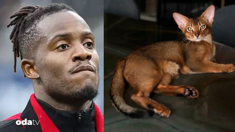 almanya batshuayinin kedisi icin seferber oldu U3P2IrGk.jpg