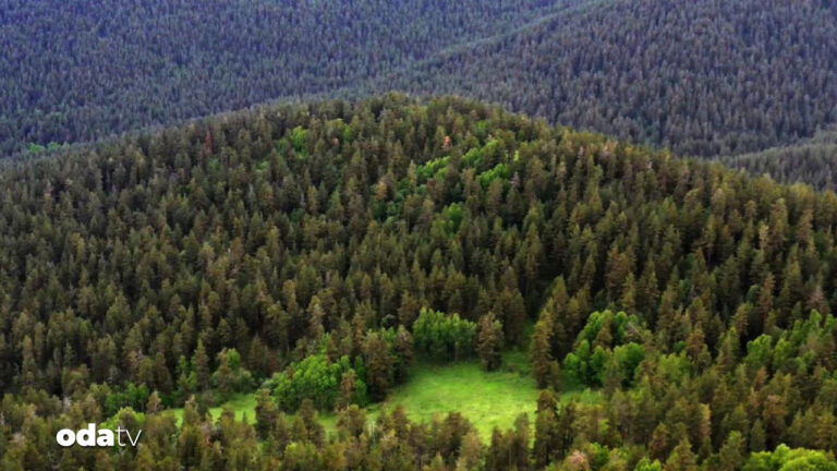 cevre kanunu degisiyor cezalar uctu AFKQZgeh.jpg