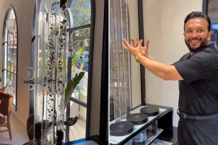 havada ucan kahve yunus cakmaktan kahveye gorsel solenli dokunus ttVV8Vzg