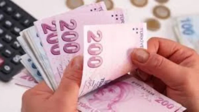 emekli-ve-memur-maas-zammi-belli-oldu-iste-yeni-oranlar-6QVQ7YE7.webp