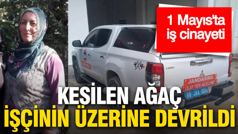 1-mayista-olum-getiren-ihmal-isci-agacin-altinda-can-verdi-i6vSnMgR