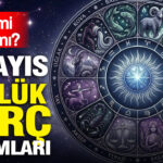 6-mayis-gunluk-burc-yorumlari-ic-ses-mi-mantik-mi-rIC3DPq3