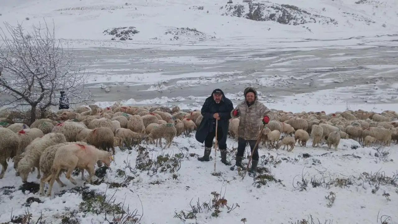 Tipi ve Heyelan Nedeniyla Mahsur Kalan Çobanlar ve Küçükbaş Hayvanlar Kurtarılmayı Bekliyor